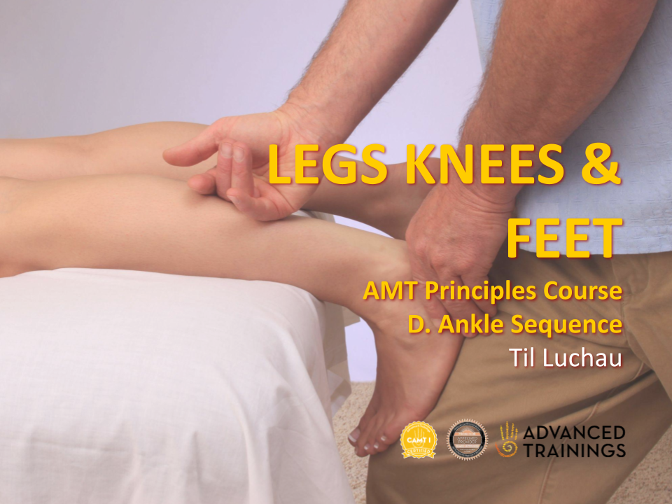 LEG, KNEES, & FEET Principles Scars