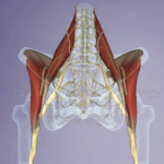 Psoas