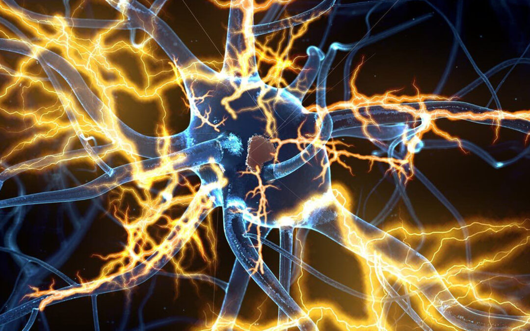 Thinking Practitioner Podcast, Ep 51: Neuroinflammation (with Todd Hargrove)