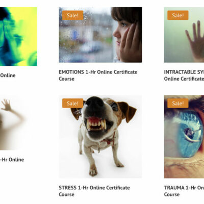 Body/Mind Online Courses