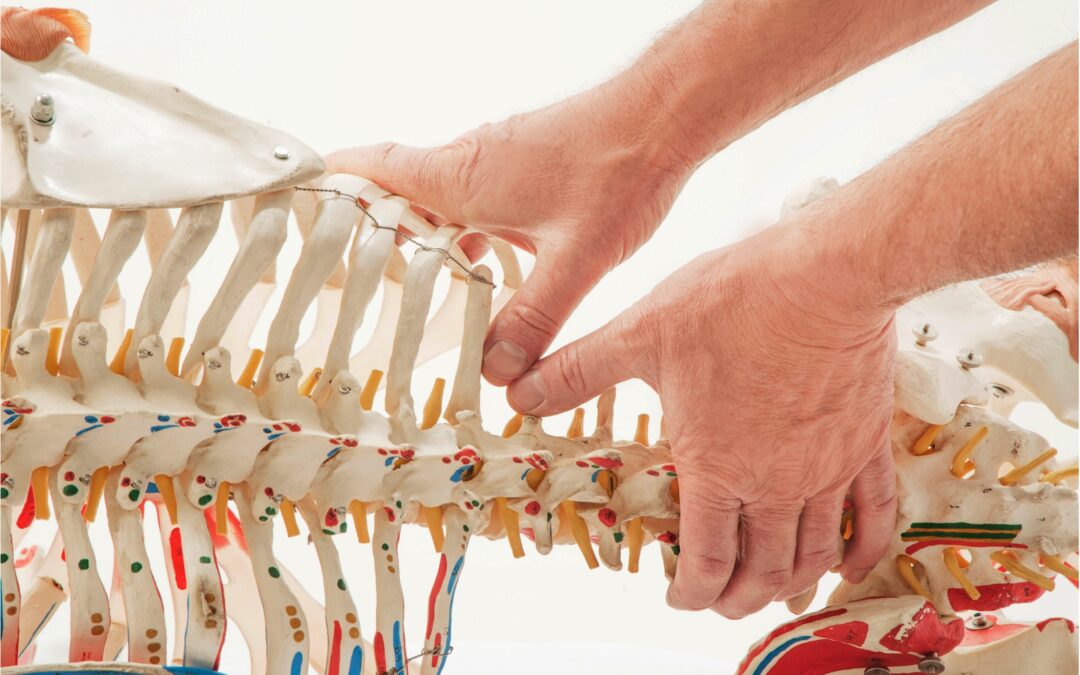Boulder, CO:  SCOLIOSIS & The Adaptive Spine, Apr 25 – 26, ’25 (Fri & Sat)