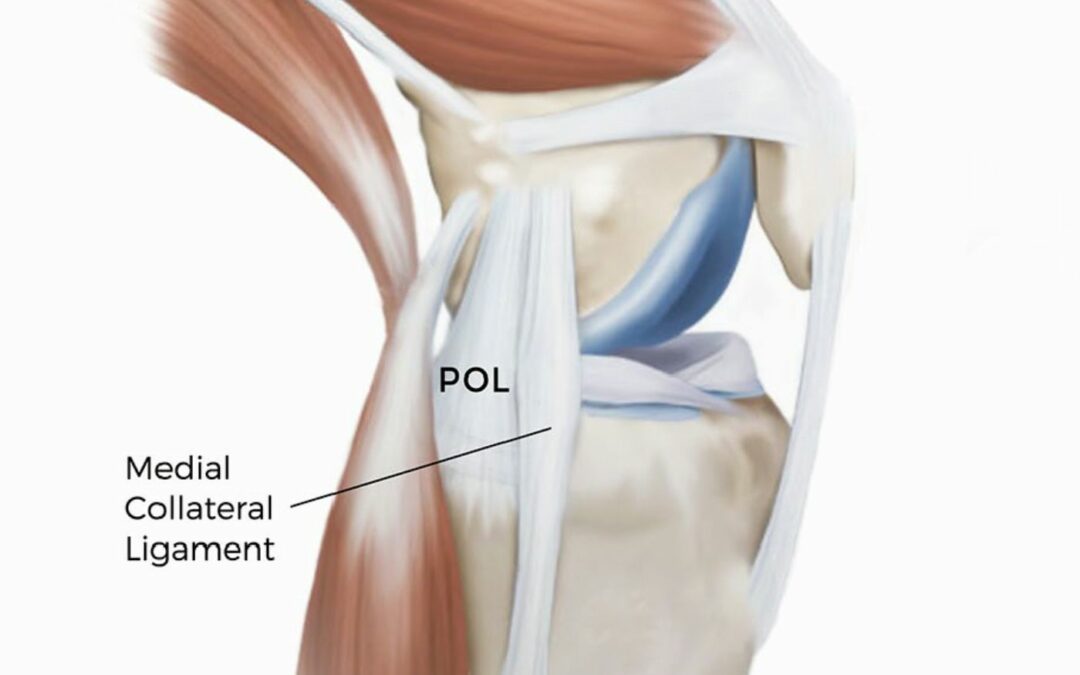 Thinking Practitioner Podcast, Ep 85: Collateral Damage: Acute Knee Injuries (with Til Luchau & Whitney Lowe)