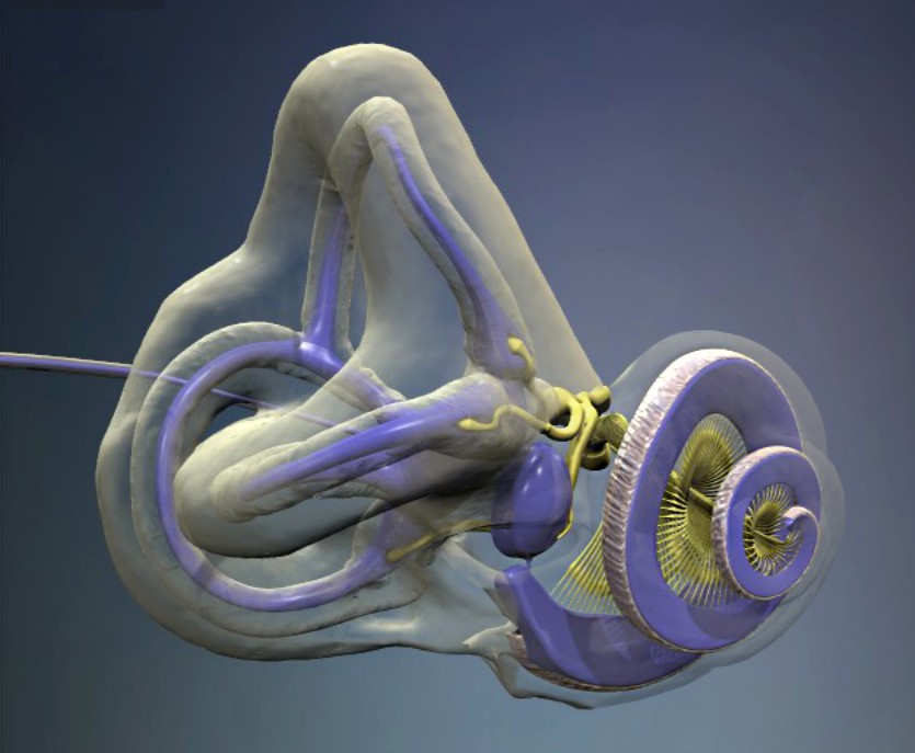 Portland, OR: <li>BALANCE & Equilibrium (NEW!), Aug 21 - 23, '26</li> - Image 3