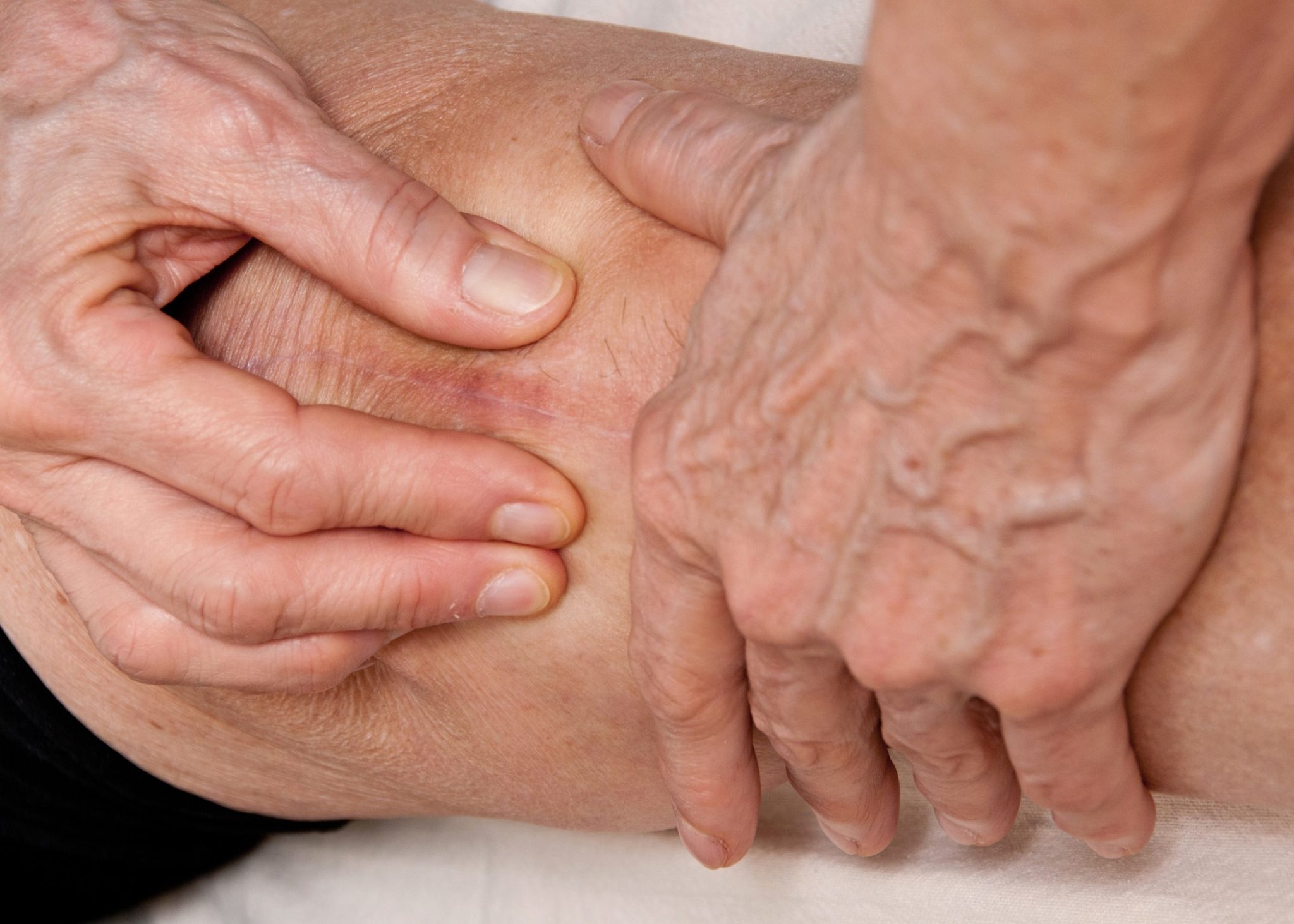 Live Online: <li>Foundations of Sharon Wheeler's ScarWork, Jan 6 2026</li>