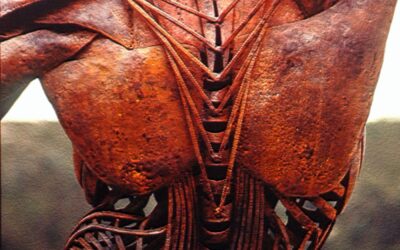 Thinking Practitioner Podcast, Ep 139: Scoliosis: Lessons for Every Back (with Til Luchau & Whitney Lowe)