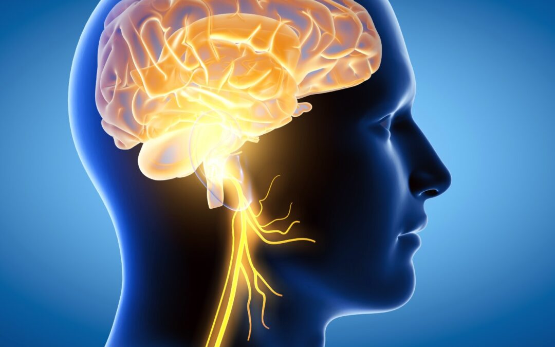 Thinking Practitioner Podcast, Ep 148: The Vagus Nerve: Buzzword or Biology? (with Til Luchau & Whitney Lowe)