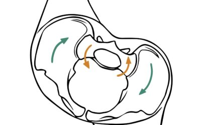 Thinking Practitioner Podcast, Ep 154: Sacroiliac Joints: The Next Level (with Til Luchau & Whitney Lowe) – Listener Favorite