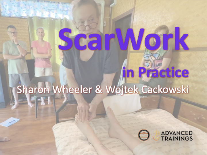 scarwork subscription title slides image poster 20251224.001 Scars