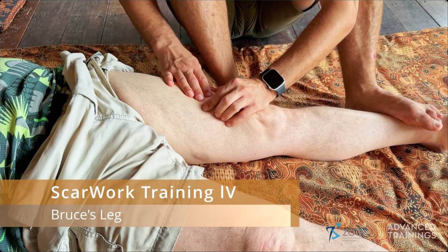 SCARWORK in Practice: Complete Technique Training (with Sharon Wheeler & Wojtek Cackowski) - Image 6