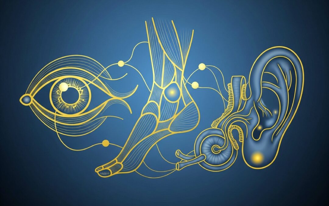 Thinking Practitioner Podcast, Ep 164: Dizziness Roundtable (with Ruth Werner, Til Luchau & Whitney Lowe)