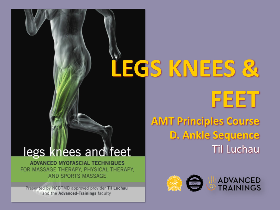 leg_knee_D Scars