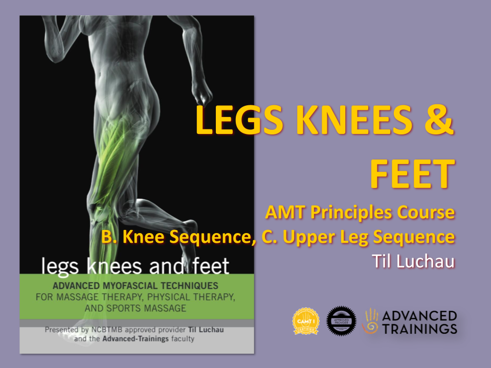 leg_principles_B Scars